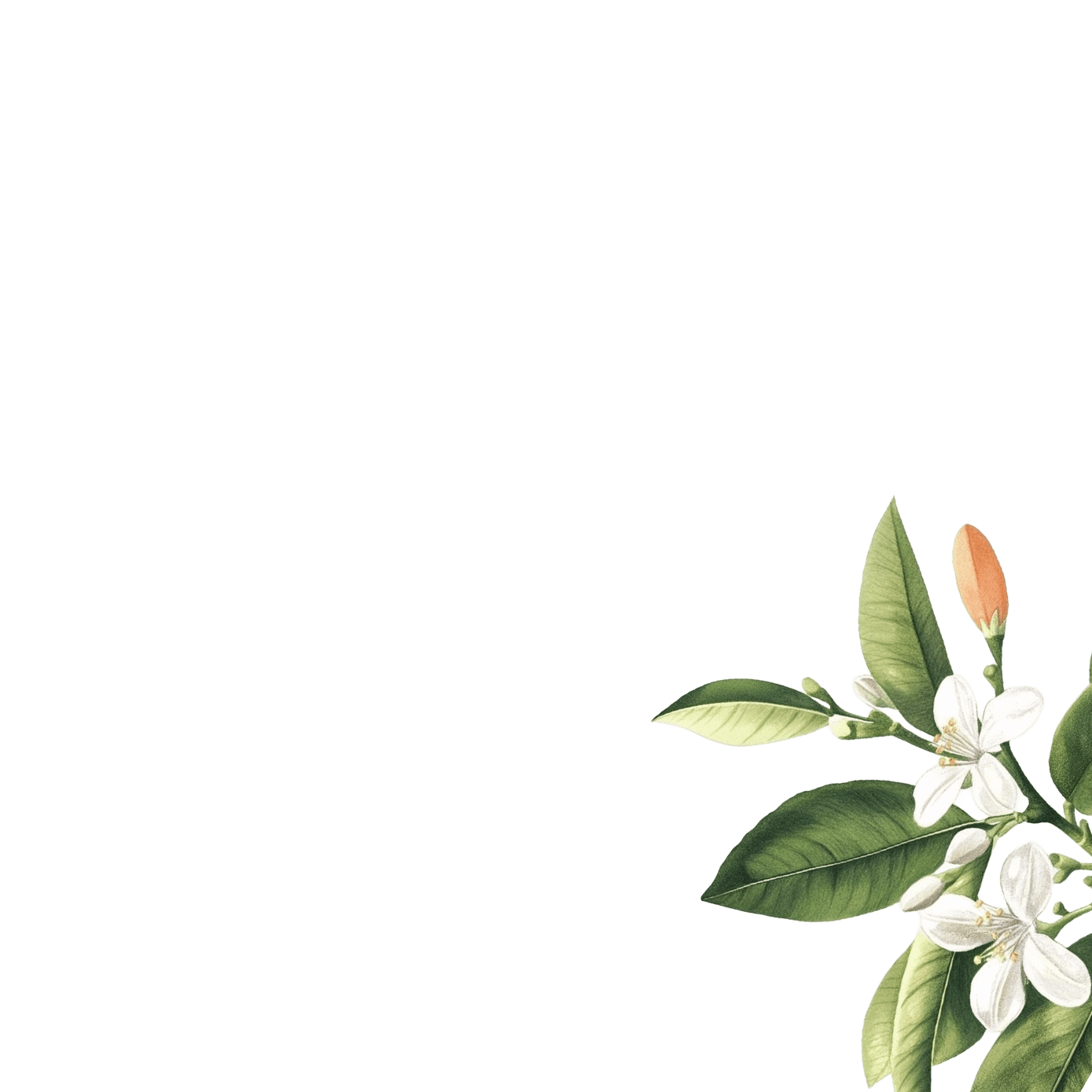 Decorative large flower