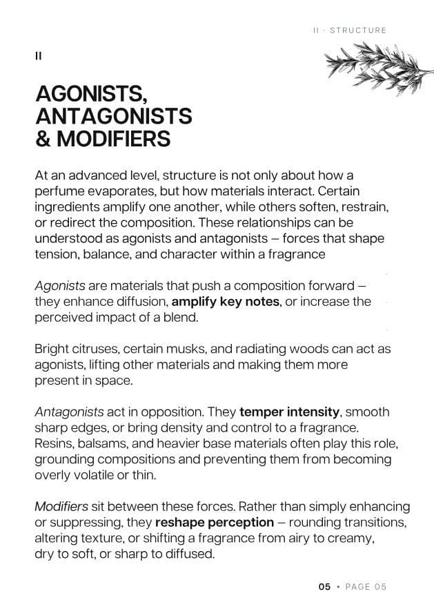 Brochure page 5